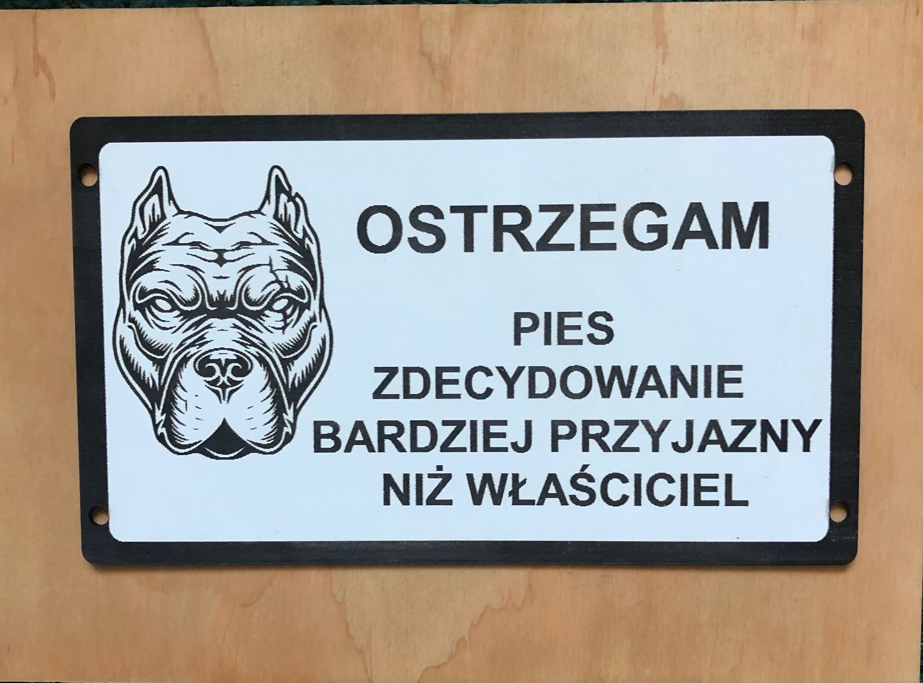 Amerycan bully tabliczki duży wybór