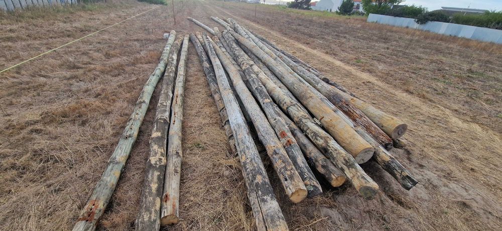 Postes do telefone de madeira tratada