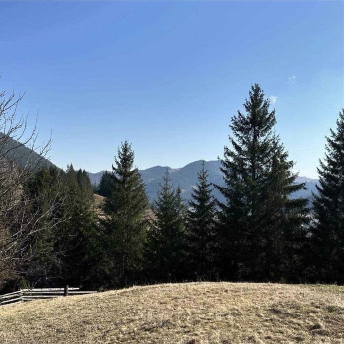 Земельна ділянка Камʼяниця