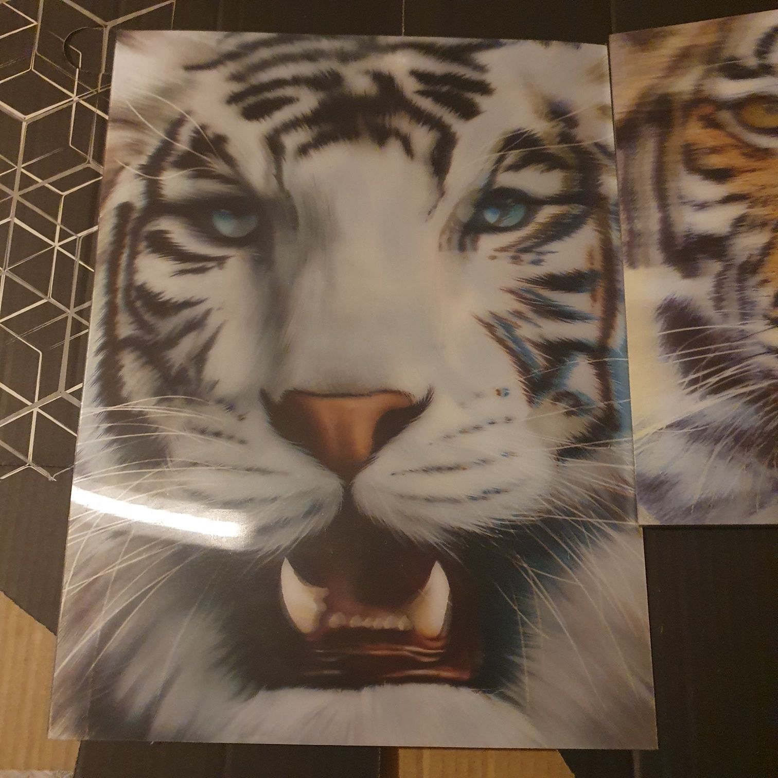 Obrazy tygrys zestaw