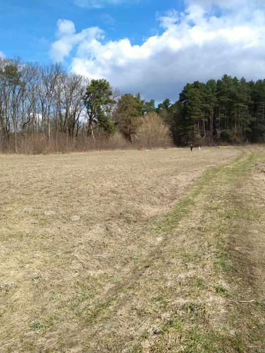 Земельна ділянка