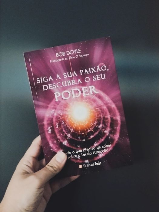 Siga a Sua Paixão, Descubra o Seu Poder (Bob Doyle)