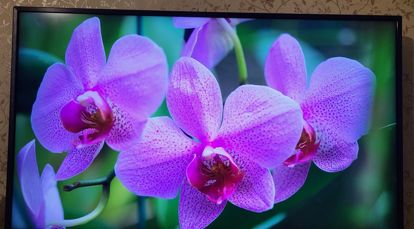 Телевизор LG43UN71006LB, Smart TV, Wi-Fi, 4K