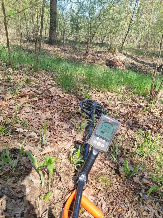 Мінелаб Еквінокс 800 + пінпоінтер Pro-Find 35