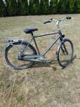 Batavus Fuego 8P