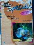 Aqualog Special  Majestic Discus