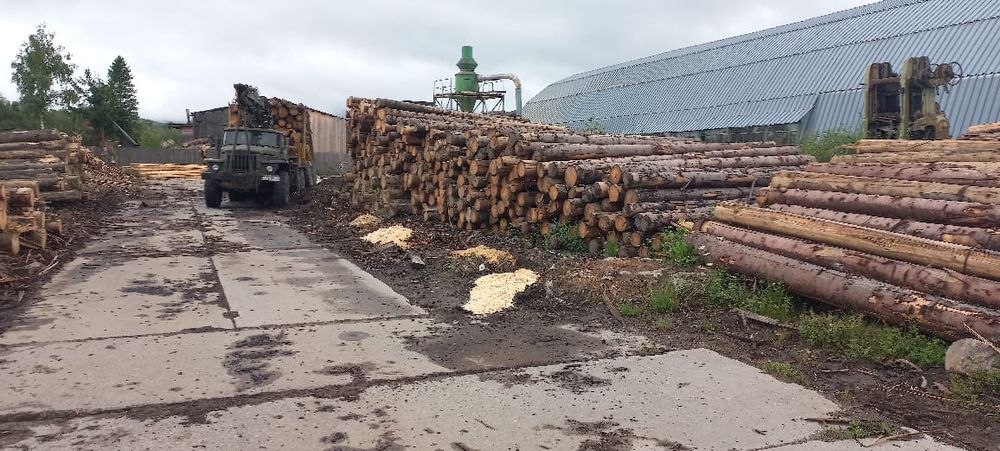 Пилорама, лісопильне господарство