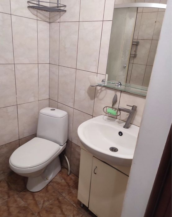 Оренда 1 кімнатного Будинку центр