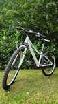 Dziewczęcy rower Giant Enchant 24"