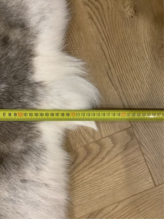 Skóra Renifera z LAPONii roz. XXL