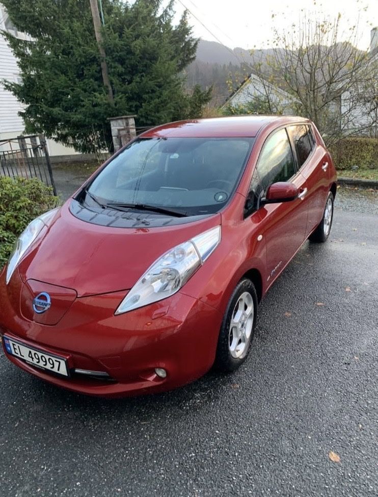 В дорозі в Україну Nissan Leaf 2014р. 11/12 поділок