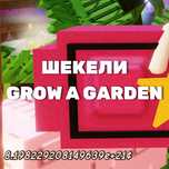 25 Sx шекелей | Grow a Garden