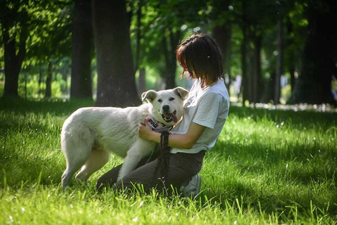 Piękny Boho wciąż bezdomny