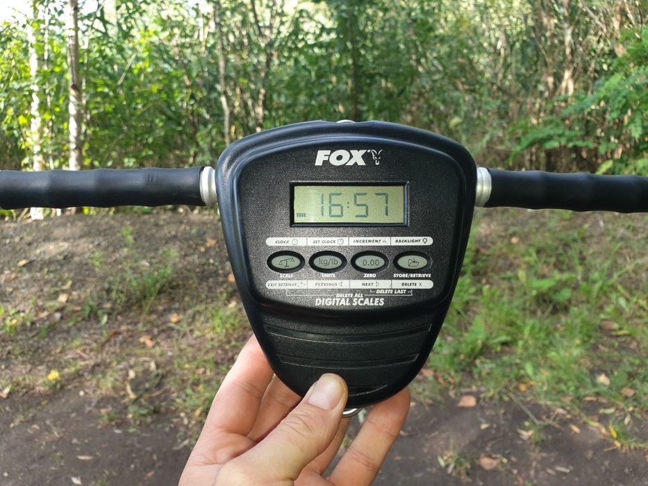 Waga fox digital scales do 30kg