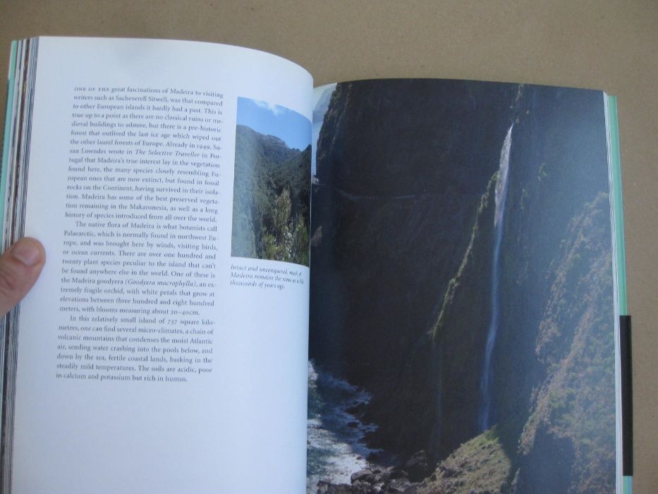 Madeira & Porto Santo de Cristina Leitão