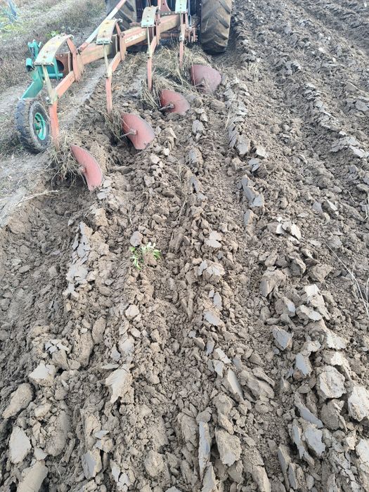 PILNIE Sprzedam pług 4 skibowy KVERNELAND