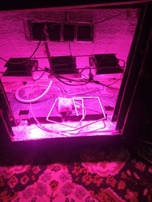 Гроубокс для вирощування рослин