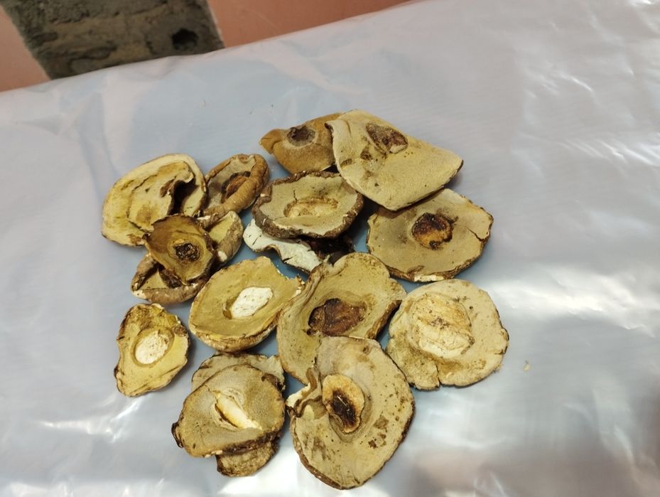 Білі гриби шапочка  ціна за кілограм