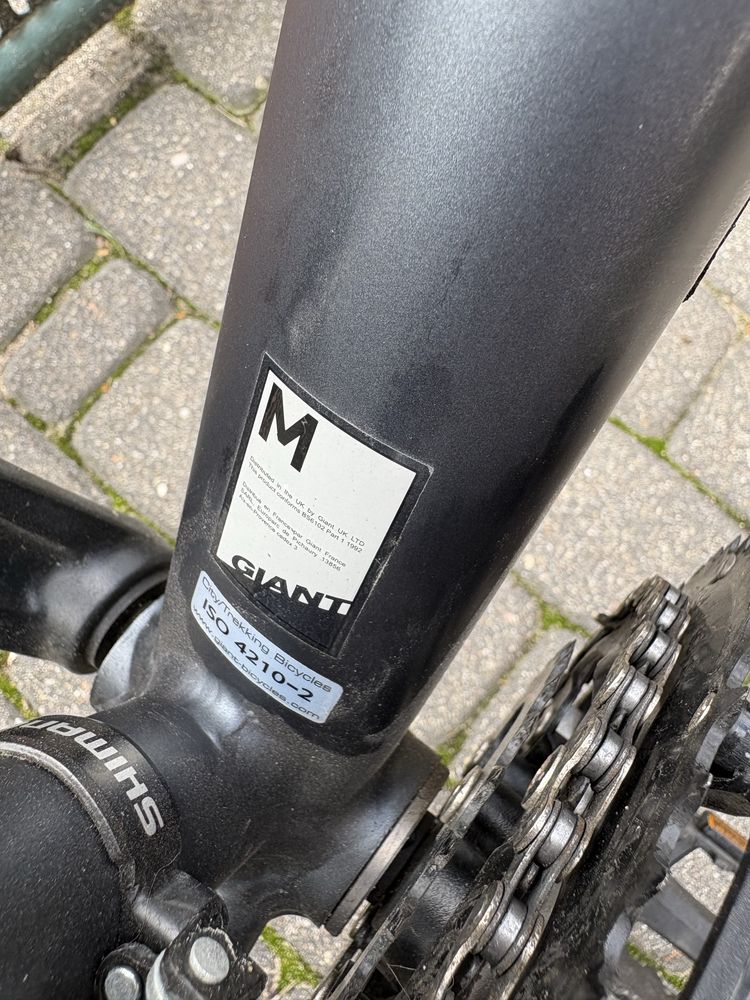 Rower Giant Roam 3