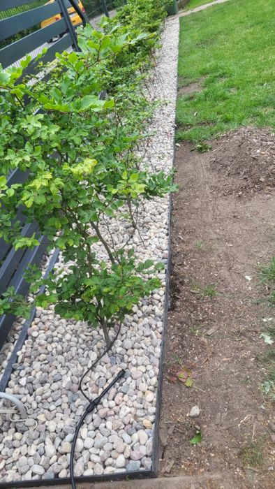 kamienie ozdobne, kruszywo, otoczak, kamień płukany