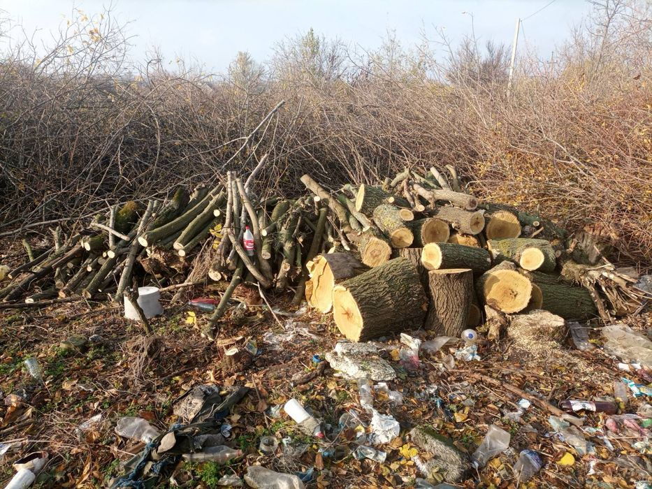 Дрова твердых пород дрова твердих порід зі своєї земельної ділянки