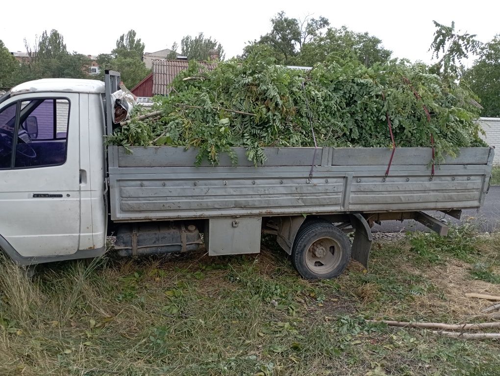 Спил деревьев карчовка пней уборка территории вывоз веток мусора.