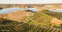 Terreno em Amieira E Alqueva de 8000,00 m2