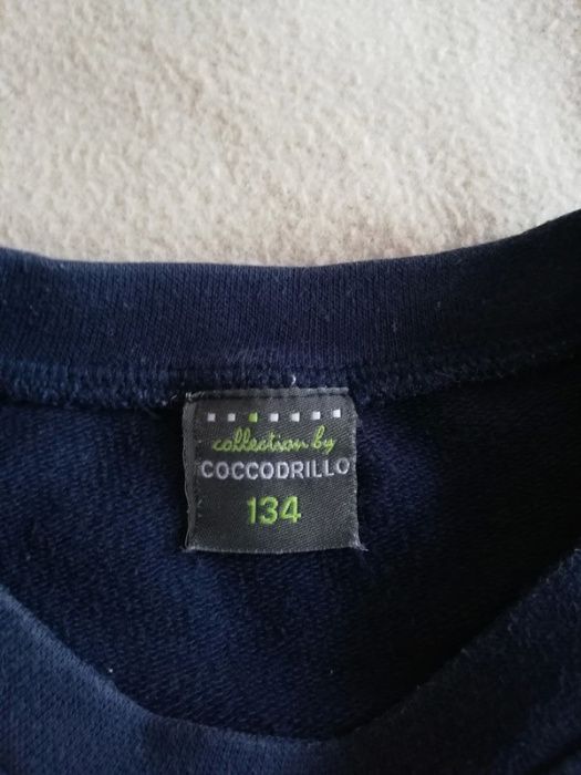 Bluza chłopięca, Coccodrillo, 134cm