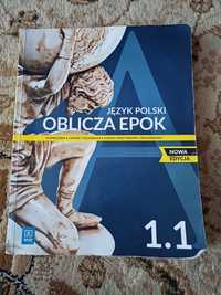 Oblicza epok 1.1 język polski