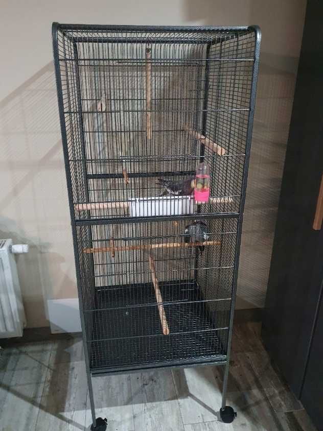 Klatka dla papug woliera dla ptaków egzotycznych 146cm NOWA
