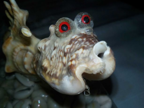 сувенир из морских и океанских раковин
