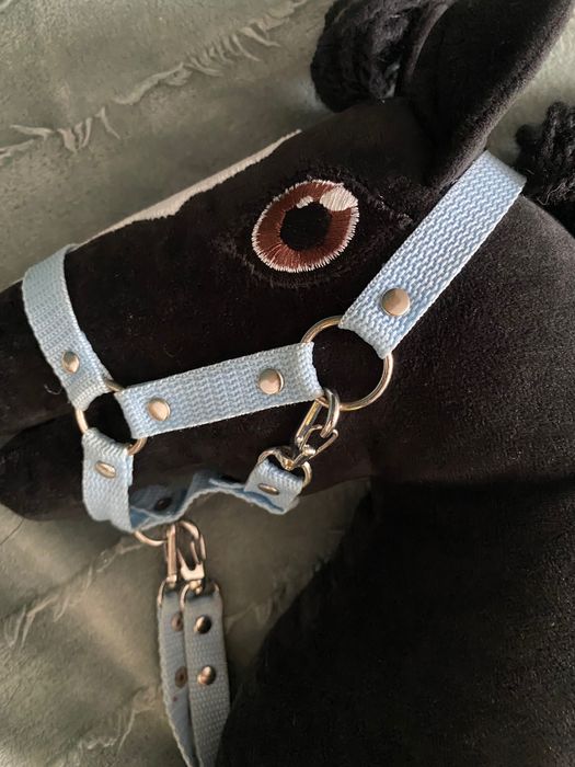 Hobby      horse