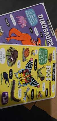 Dinosaurs & bugs książki po angielsku