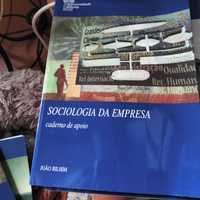 Sociologia da Empresa