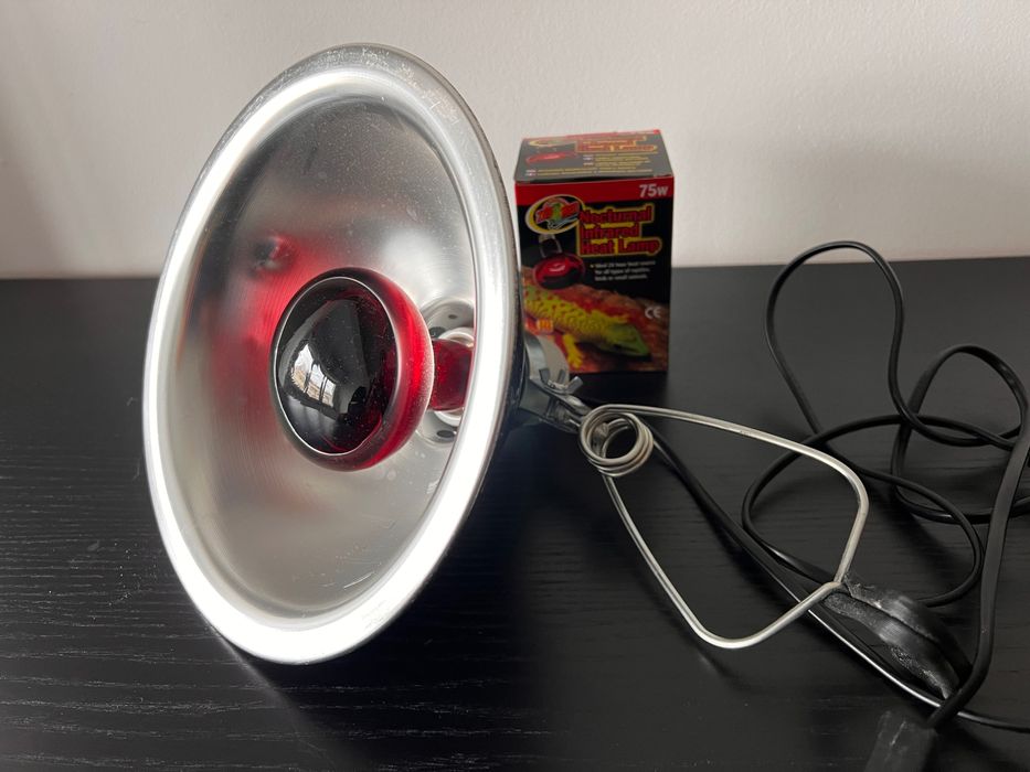 Conjunto Zoomed Candeeiro e Lâmpada Aquecimento Infravermelhos Répteis