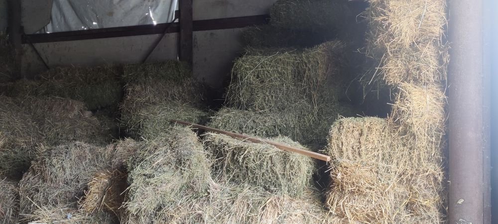 Сіно солома тюки