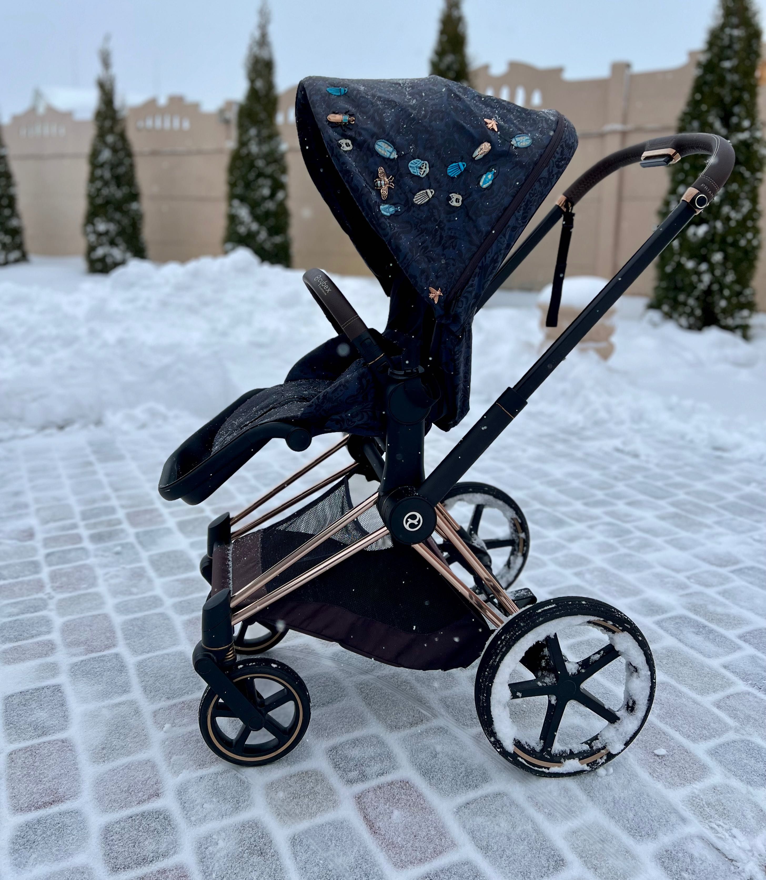 Прогулянкова коляска Cybex Priam 4.0  Jewels of Nature