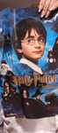 Poster Harry Potter pedra filosofal
