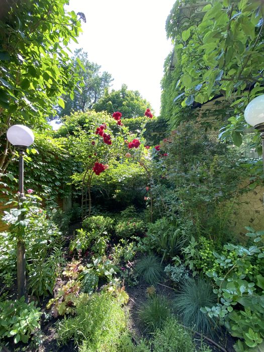 Сдам дом в Аркадии. Хрустальный переулок. Красивый участок, до мая.