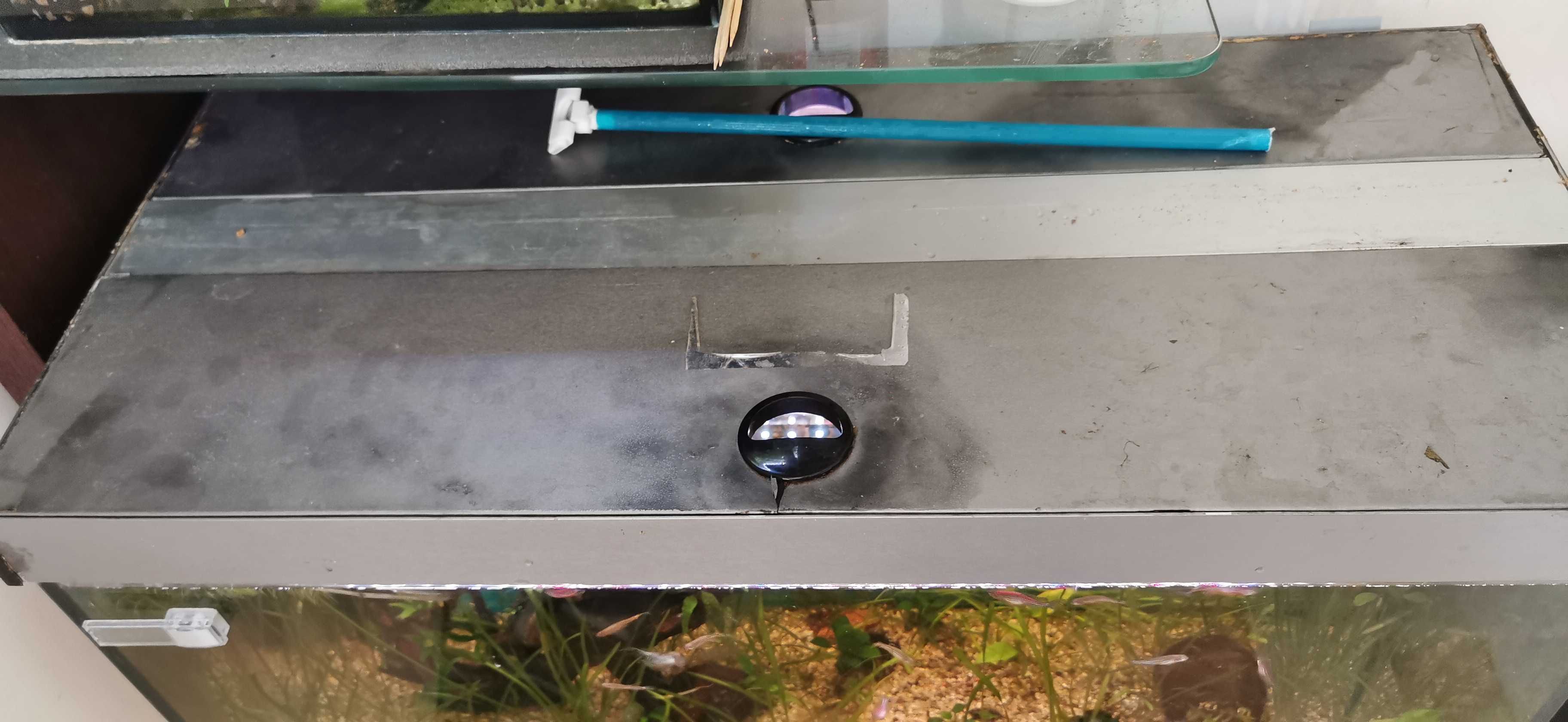 2 x Akwarium 112 l i 10 l z obsadą, osprzęt, filtry zew., butla CO2.