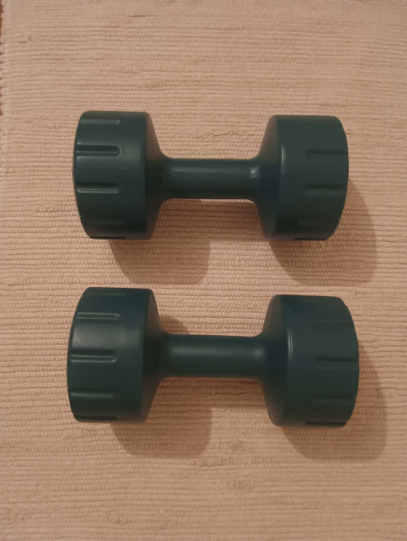 2 Aparelhos Ginástica, Abdominais e Fortalecimento + 2 Halteres 3 Kg