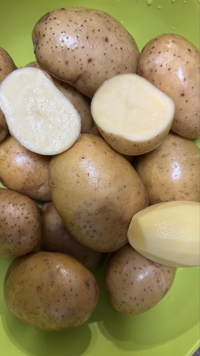 Картопля домашня