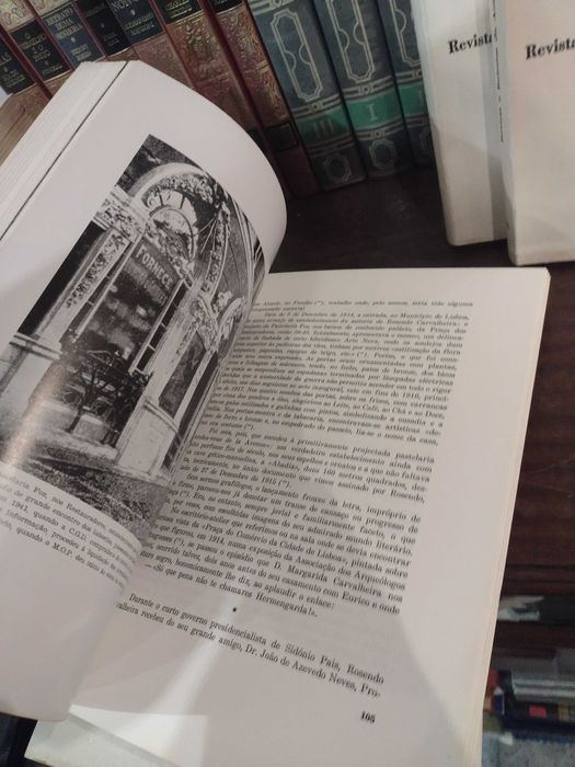 Belas Artes Revista e Boletim da Academia Nacional de Belas-Artes