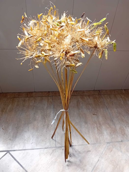 Ramos de flores secas longos para jarra ou jarrao