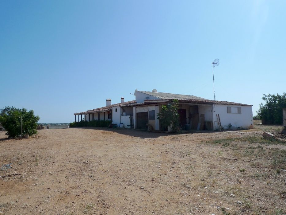 Tranquila Herdade/Quinta Torre do Sobral