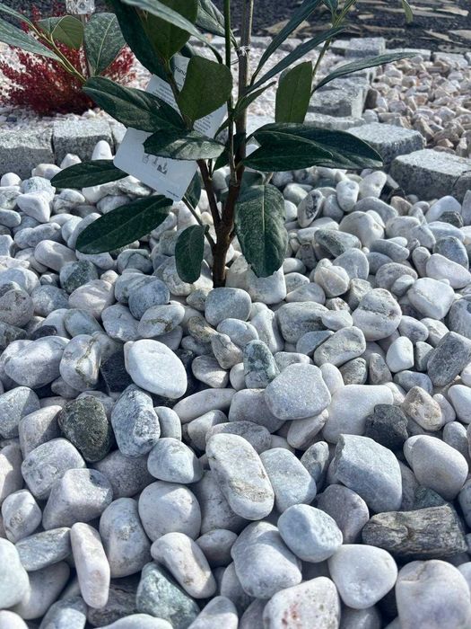 Otoczaki Janowickie 20-40mm