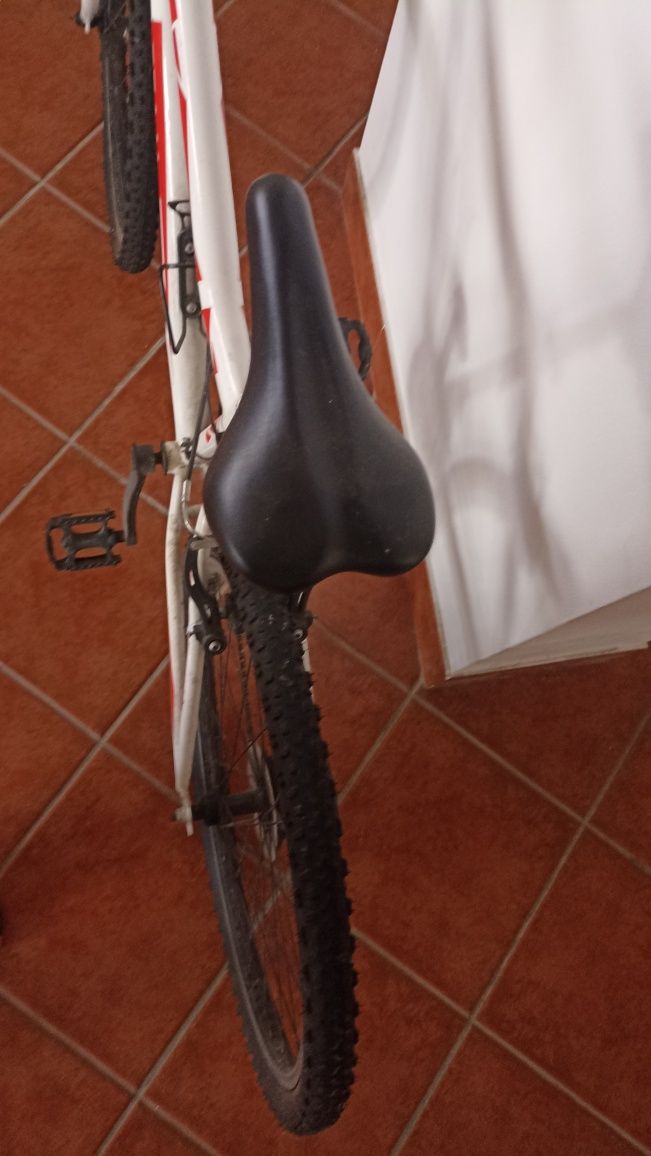 Bicicleta de adulto