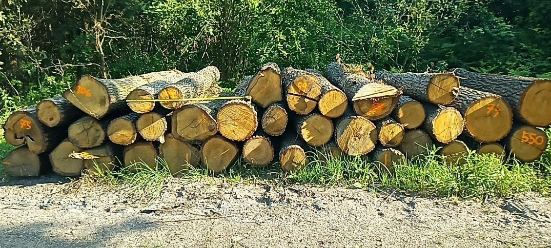 Drewno kominkowe opałowe w wałkach tanio