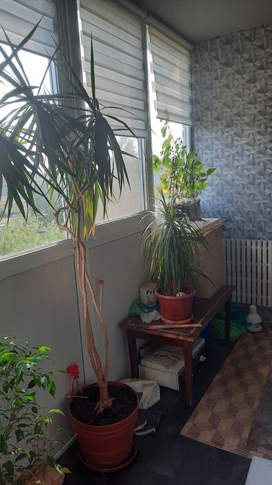 Новинка!!! Продам 1 -ком. кв. Солоницевка.