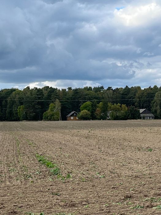 Siedlisko na Podlasiu